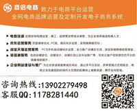 公司簡介 專業的電子商務運營管理服務